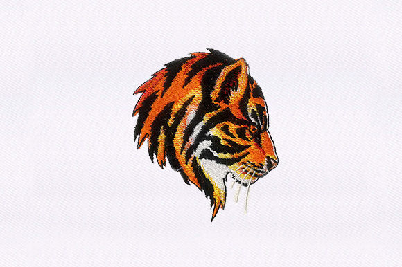 Dominating Tiger