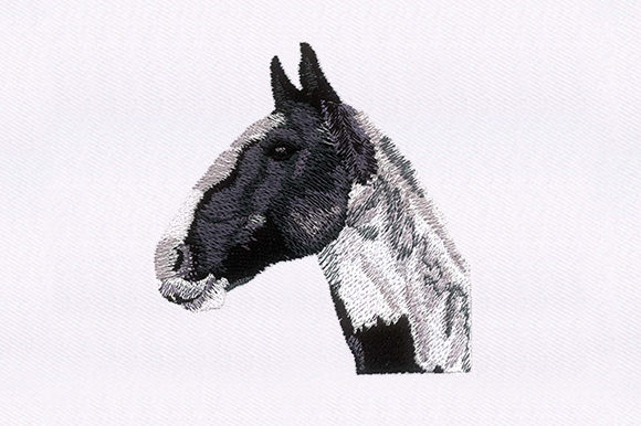 Horse Portrait Design Review
